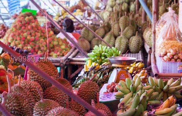 **🍍“热带水果自由”不再是梦：我的实现之旅🍊**